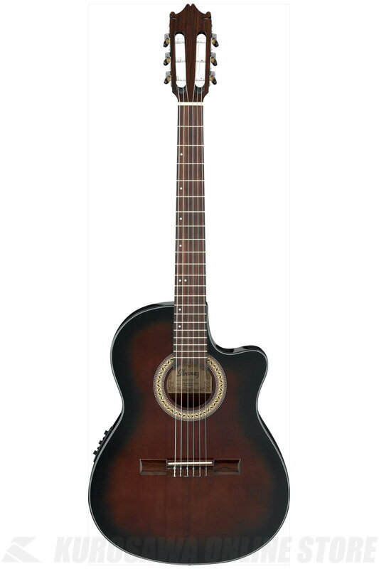 Ibanez GA30TCE-DVS (Dark Violin Sunburst) (饷å/쥬å)(̵)ONLINE STORE