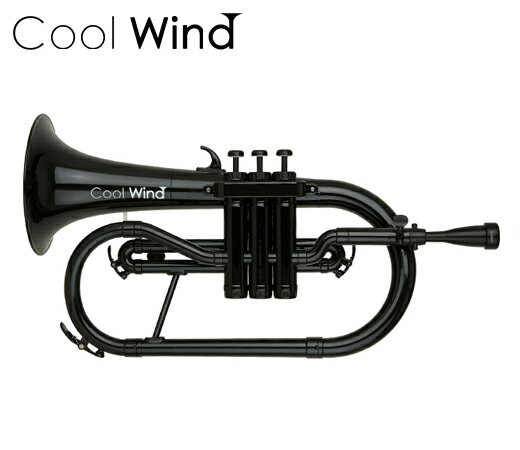 Cool Wind FH-200 BLK ֥å (ץ饹åե塼ۥ)(̵)(ͽ)ONLINE STORE