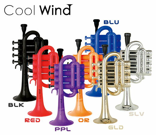 - Cool Wind - プラスチック楽器の製造を手掛ける『Cool Wind』社は、本格的なサウンドを気軽に楽しめる管楽器を製造しております。 カラフルでキュートなルックスに加え、丈夫で軽いABS樹脂製の管体素材を用いる事で、 楽器本体の超軽量化に成功、子供から大人まで使いやすい豊富なラインナップを取り揃えております。 - 仕様 - B♭調 ボア:11.6mm 重さ:約500g ケース:ソフトケース付属 プラスチックマウスピース付属