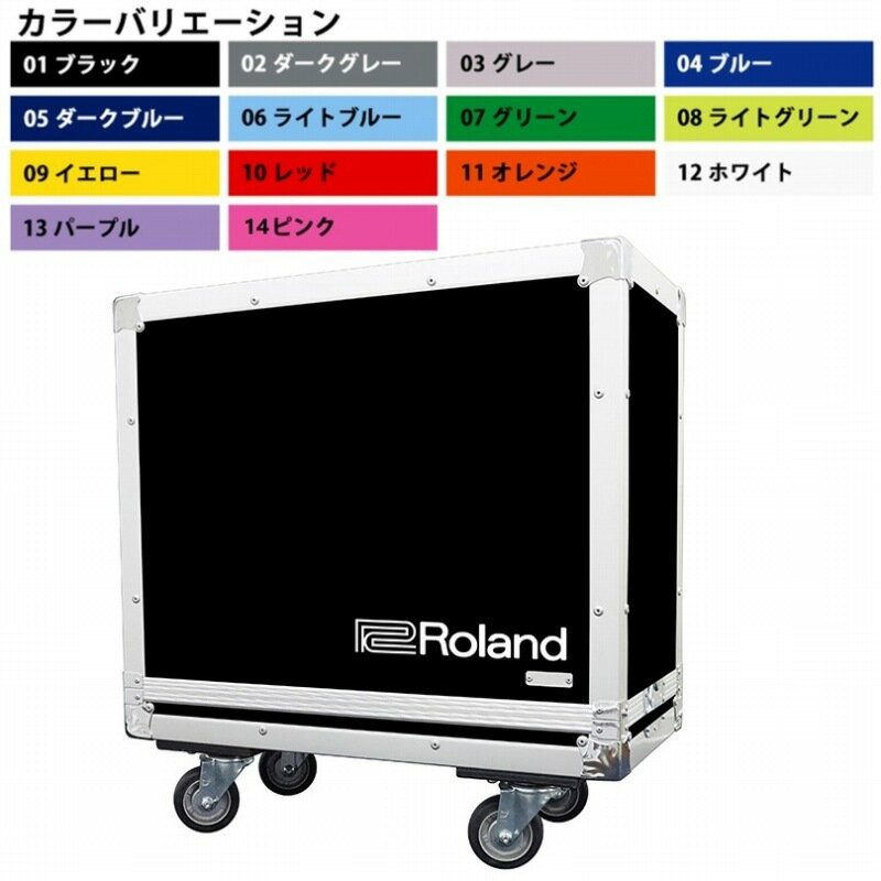 Roland TB-BCST Blues Cube Stage用ハードケース (受注生産品)(送料無料)【ロゴの有無/カラーをお選び下さい】 【ONLINE STORE】