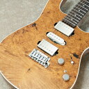 Kz Guitar Works ^EؑY Custom ymVOlC`[fzy1{萶YzycXz