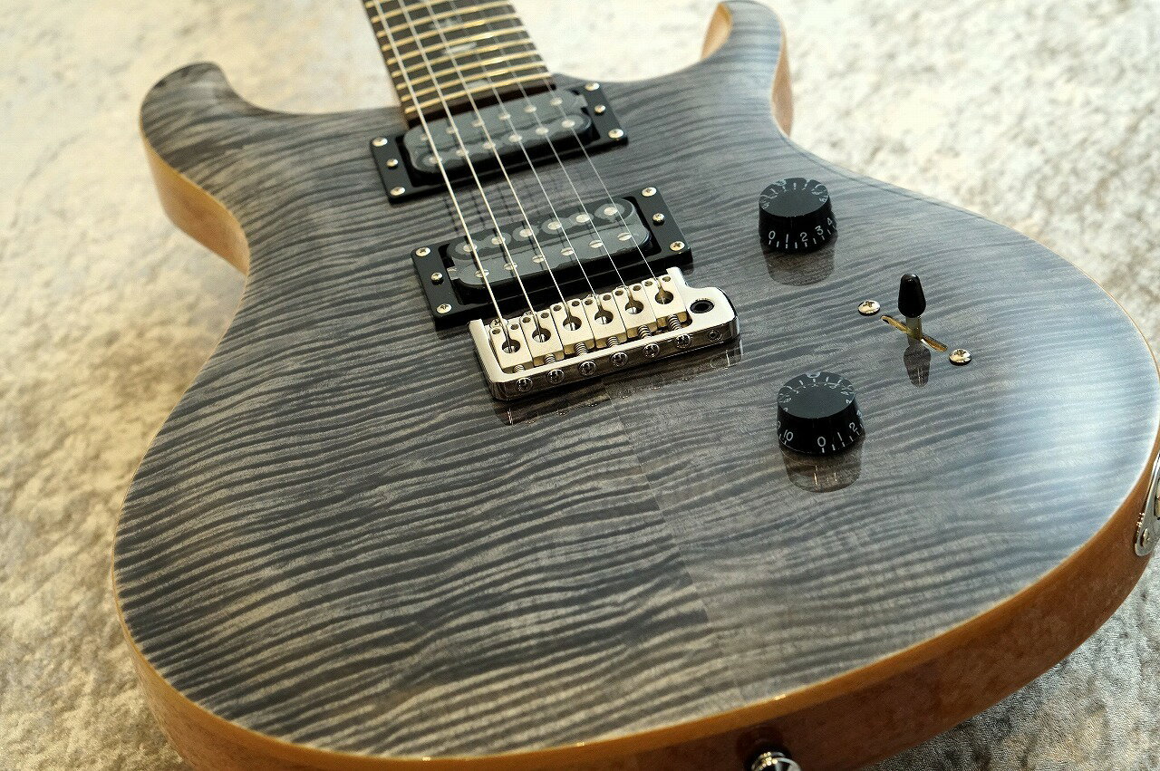 Paul Reed Smith(PRS) SE CUSTOM 24 ～Charcoal～【48回無金利】【町田店】