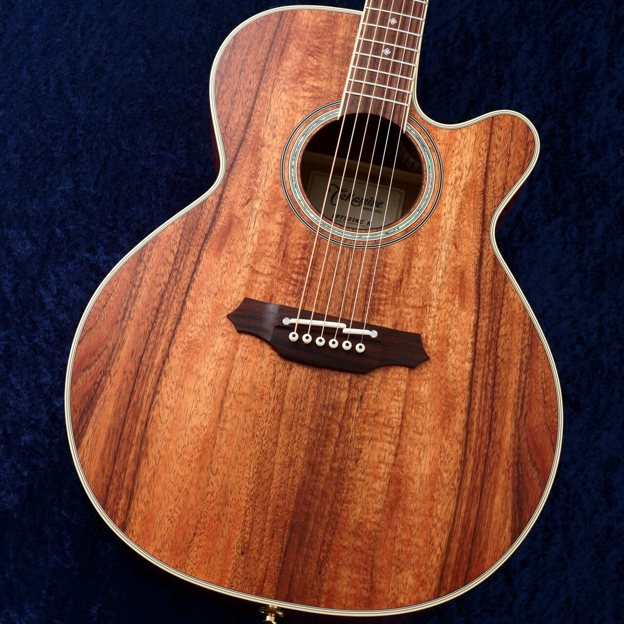 楽天市場】takamine koaの通販 楽天市場】takamine koaの通販