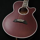 Takamine FPT181AC WR 【実物写真】【実物動画あり】【48回無金利】【買取・下取強化中!】【クロサワ町田店】