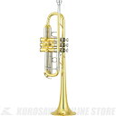 YAMAHA YTR-8445【ラッカー】【C管】【Xeno/ゼノ】【小物セット付】【特別生産】【送料無料】【ONLINE STORE】