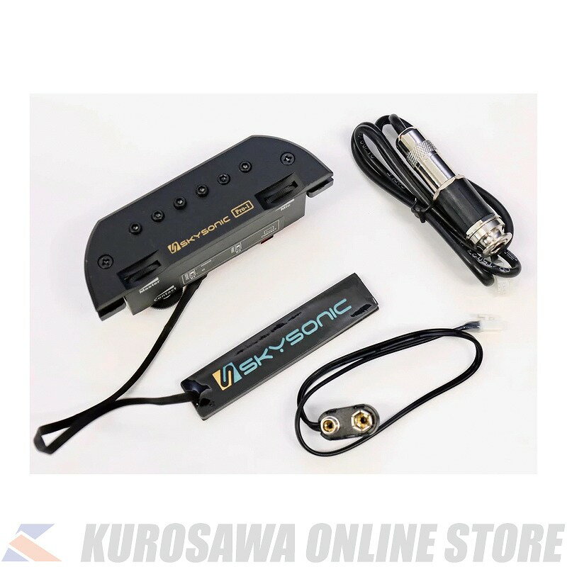 SKYSONIC PRO-1 3WAY SOUND HOLE PICKUP [ޥͥåǥ󥵡ޥ&󥿥](ͽ)ONLINE STORE