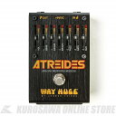 Way Huge WHE900 ATREIDES ANALOG WEIRDING MODULE【ONLINE STORE】(2)