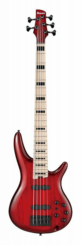 Ibanez ANB205-TWB yONLINE STOREz