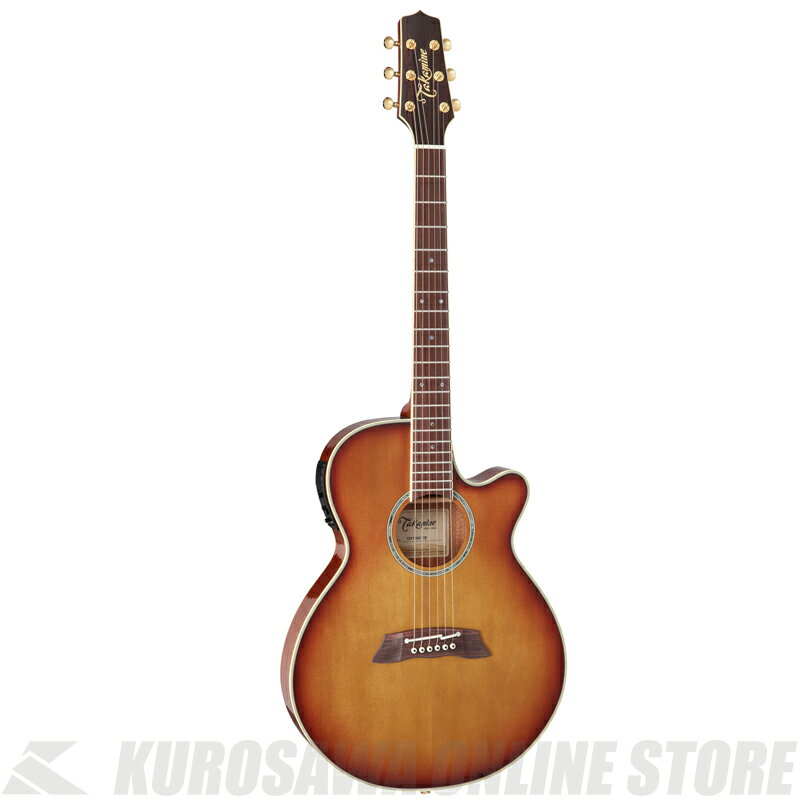 Takamine TSP138C y\P[uv[gIzyONLINE STOREz