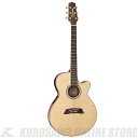 Takamine TSP138C N 【高性能ケーブルプレゼント!】【ONLINE STORE】