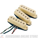 Fender Ultra Noiseless Vintage Stratocaster Pickup Set (ご予約受付中)【ONLINE STORE】