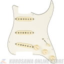 Fender Pre-Wired Strat Pickguard, Custom Shop Fat 50's SSS, Parchment 11 Hole PG (ご予約受付中)【ONLINE STORE】