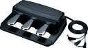 Roland RPU-3 【Pedal Unit】【送料無料】【ONLINE STORE】