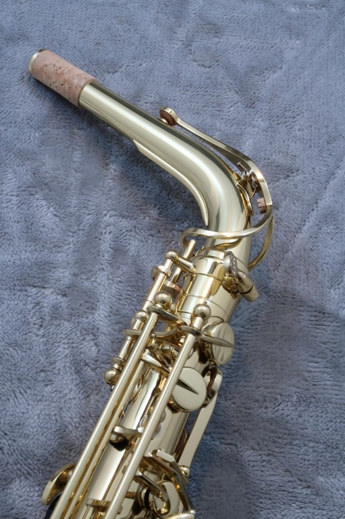 Axos Celeste AltoSax【新品】 【サキソフォン・ラボ】