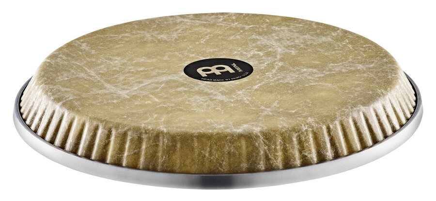 MEINLʥޥͥ REMO 󥬥إå RHEAD-11NTG-CLUBë