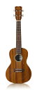 Cordoba Ukulele - 20 - series Cordobaのウクレレは、伝統的なポルトガル風オーナメントと現代風アコースティックギター の魅惑的なウッドデザインとが合わさったウクレレです。 軽量且つ反応の良いCordobaギター スタイルで作られています。 20CM w/Cordoba Gig Bag ・サイズ:コンサート ・トップ:ソリッドマホガニー ・バック&amp;サイド:マホガニー ・フィンガーボード/ブリッジ:ローズウッド ・ロゼッタ:ウッド ・フィニッシュ:ナチュラルサテン ・ギグバッグ付属 コルドバのウクレレ在庫一覧はこちら