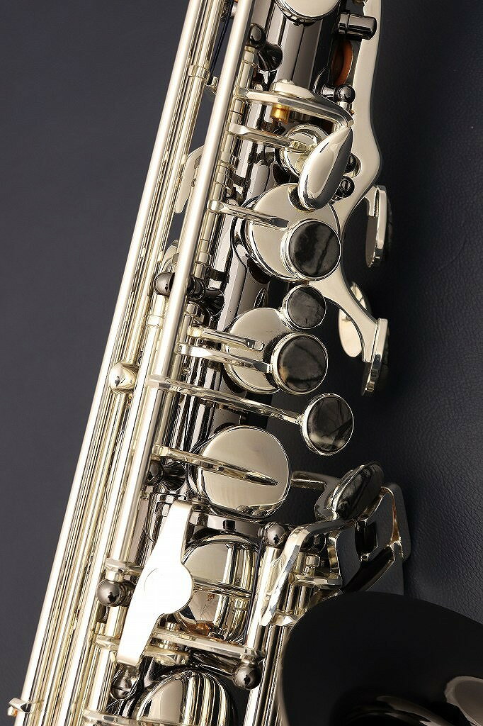Cannonball A5-BS【新品】【キャノンボール】【アルトサックス】【お茶の水サック...
