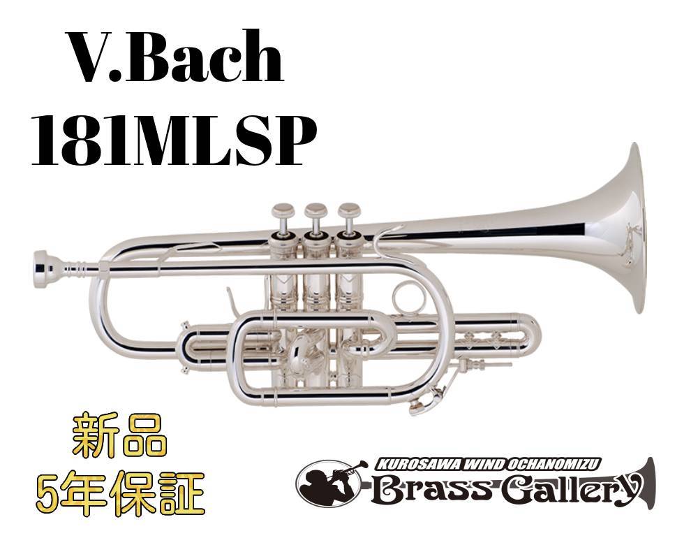 V.Bach 181MLSP【お取り寄せ】【新品】【コルネット】【バック】【ロング管】【イエローブラスベル】【Stradivarius / ストラッド】【送料無料】【金管楽器専門店】【BrassGalley / ブラスギャラリー】【ウインドお茶の水】