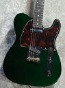 FUJIGEN(FGN) NTE100RAL Candy Apple Green #E250084【3.45kg】【日本製】【横浜店】