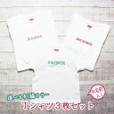 ギフト 親子 ペアルック 親子コーデ 名入れ 赤ちゃん 親子お揃い 親子お揃いtシャツ バースデー ブランド 3 人 tシャツ リンクコーデ セット おそろい プレゼント お 揃い ペアtシャツ ロンパース マタニティフォト 親子ペア 実用的