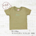 ギフト 親子 ペアルック 親子コーデ キャンプ 名入れ 赤ちゃん 親子お揃い 親子お揃いtシャツ バースデー ブランド 3 人 tシャツ リン..