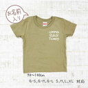 ギフト 親子 ペアルック 親子コーデ キャンプ 名入れ 赤ちゃん 親子お揃い 親子お揃いtシャツ バースデー ブランド 3 人 tシャツ リンクコーデ セット ...