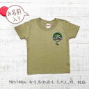ギフト 親子 ペアルック 親子コーデ キャンプ 名入れ 赤ちゃん 親子お揃い 親子お揃いtシャツ バースデー ブランド 3 人 tシャツ リンクコーデ セット ...