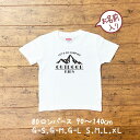 親子 ペアtシャツ キャンプ ペアルック tシャツ 赤ちゃん 3枚 セット 親子ペア 親子コーデ リンクコーデ 名入れ ペア コーデ おそろい 大人 子供 お揃い 男の子 女の子 ベビー 出産祝い 誕生日 夏 プレゼント パパ ママ 白 服 運動会 outdoor