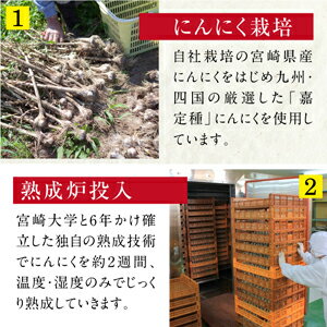 黒にんにく【送料無料】国産熟成発酵バラ62片(31片入2袋rarr;1日1粒で約2ヶ月お試し)九州宮崎産もみきくろまるメール便(ポスト投函)無添加自社ランキング1位ポイント消化ポイント5倍