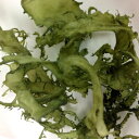 カネリョウ海藻　送料無料！【乾燥】海藻サラダ　原料売ります！　　　　　　　　　　　青とさか500g