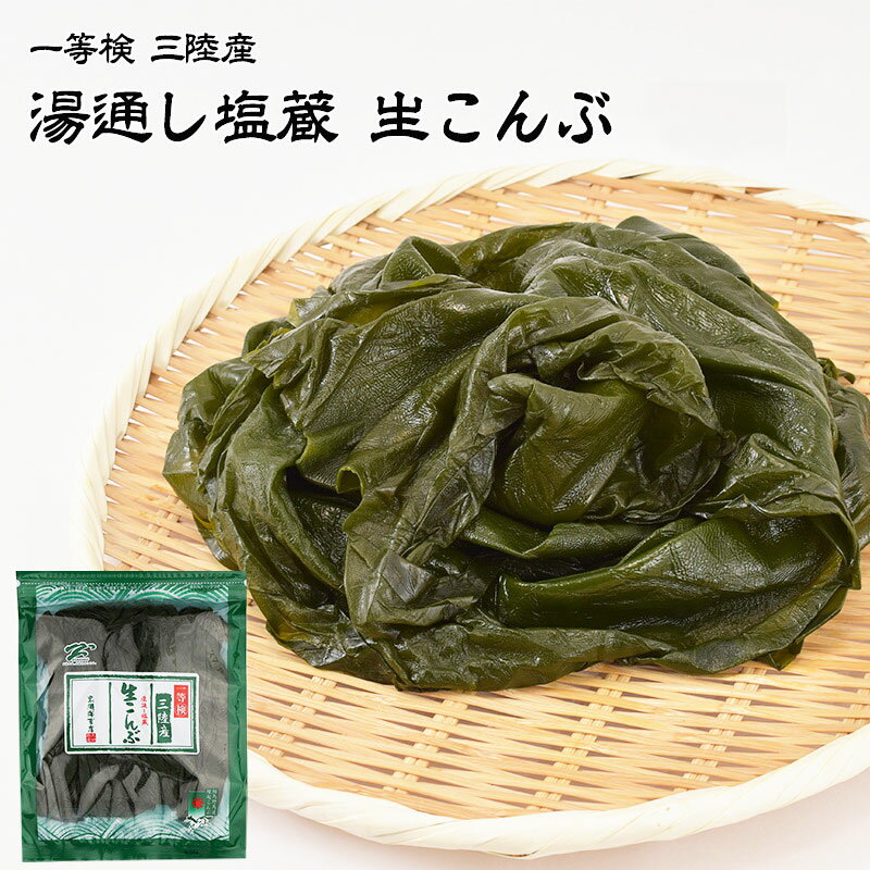 有限会社 黒潮海苔店 一等検 三陸産 湯通し塩蔵 生こんぶ 1袋あたり350g 送料無料 生昆布 昆布 コンブ 肉厚 栄養 ミ…