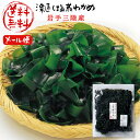 わかめ 乾燥 より塩蔵がオススメ！ 国産 湯通し塩蔵わかめ 300g 食品ロス 若芽 ぽっきり　海藻サラダ おつまみ茎わかめ 新わかめ 国産わかめ 食べ物 訳あり 食品 ポッキリ お買い物マラソン