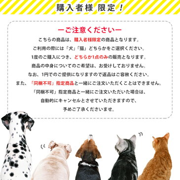 ご購入者様限定 ｜ キャットフード お試し 1円サンプル 【猫 おやつ】【猫用品】