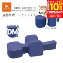ポイント最大10倍!もうすぐ終了!7/26 01:59まで|アロン化成 OneAid ワンエイド 姿勢サポートクッション DM