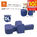 ポイント最大10倍!7/19 20:00~7/26 01:59まで|アロン化成 OneAid ワンエイド 姿勢サポートクッション DL