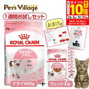 ポイント最大10倍!8/4 20:00〜8/11 01:59まで|ロイヤルカナン FHN 成長後期 子猫用 1週間お試しセット ごはん ご飯【ROYAL CAN...
