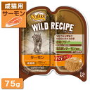 公認店 ニュートロ ワイルドレシピ キャットフード 成猫用 サーモン パテタイプ 75g