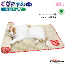 ドギーマン 猫用 ござにゃん 枕つき 朝涼み【ベッド・マット/ペットベッド】【ひんやりグッズ・ひんやり用品】【猫用品/ペット・ペットグッズ/ペット用品】【暑さ対策・クール（Cool）】【あす楽対応】 ：在庫一掃 アウトレットセール