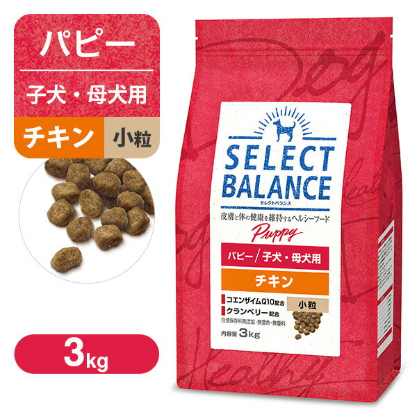 セレクトバランス パピー 子犬用 チキン 小粒 3kg RSL