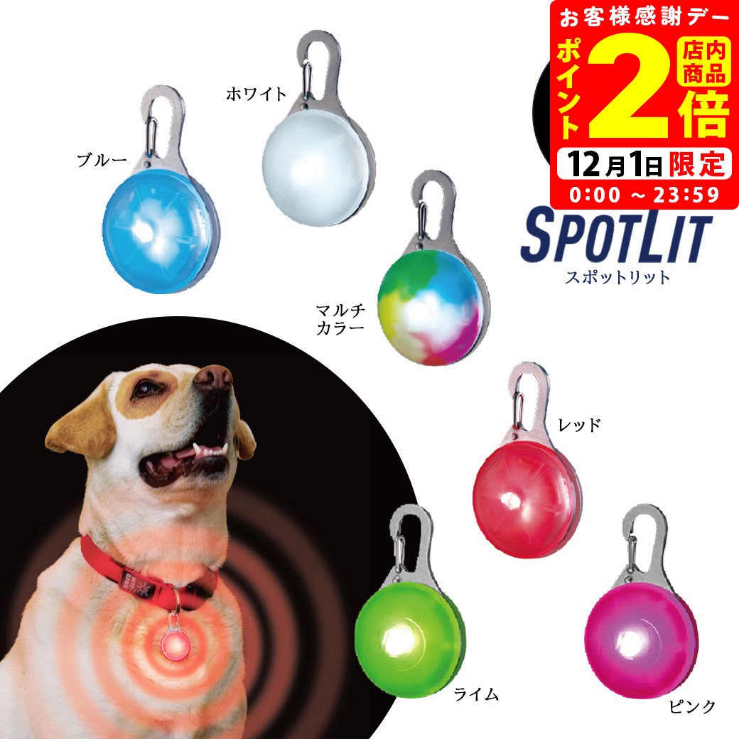 ポイント全品2倍！12/1限定｜ナイトアイズ スポットリット