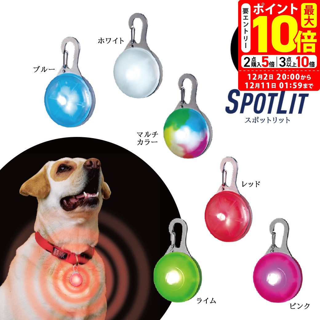 ポイント全品2倍！12/1限定｜ナイトアイズ スポットリット