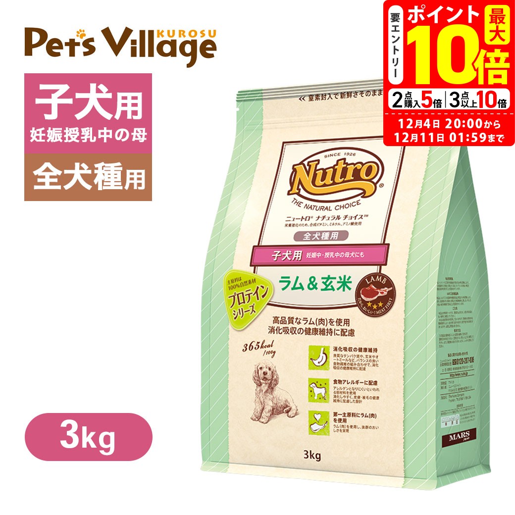 ポイント最大10倍！12/420:...