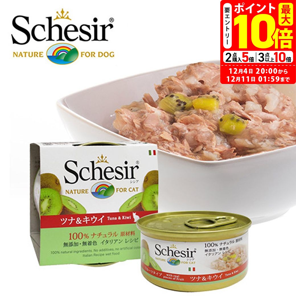 ポイント最大10倍！12/4 20:00〜12/11 01: