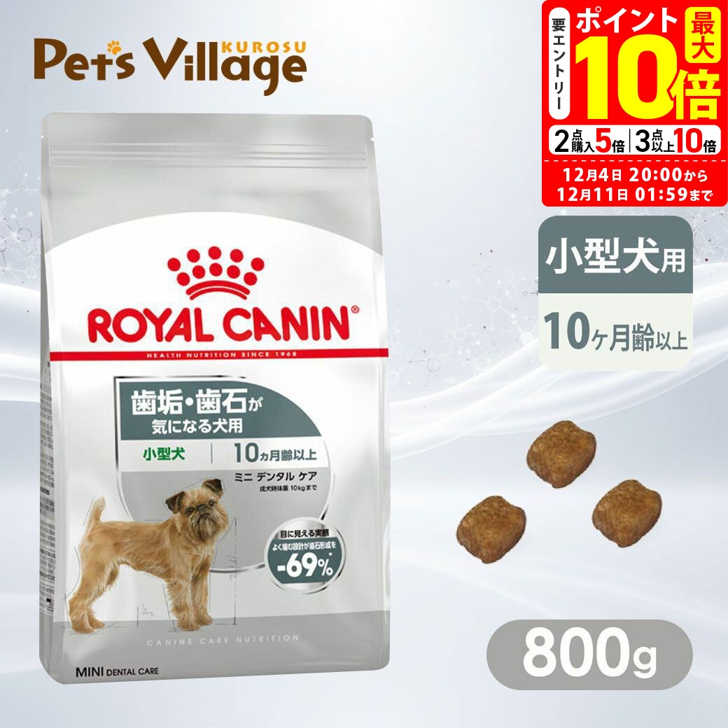 楽天ペッツビレッジクロスポイント最大10倍！12/4 20:00〜12/11 01:59まで｜まとめ買いでお得！ロイヤルカナン CCN ミニ デンタルケア 小型犬 歯垢・歯石が気になる犬用 10ヵ月齢以上 800g ごはん ご飯【ROYAL CANIN】[ドッグフード] 認定オンラインショップ｜おいしさ満足保証対象