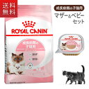 期間限定 送料無料 ロイヤルカナン キャットフード FHN マザー＆ベビーキャットセット