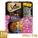 4/25限定 先着クーポン有 シーバ デュオ 12ヶ月までの子ねこ用 香りのまぐろ味セレクション 200g×12個