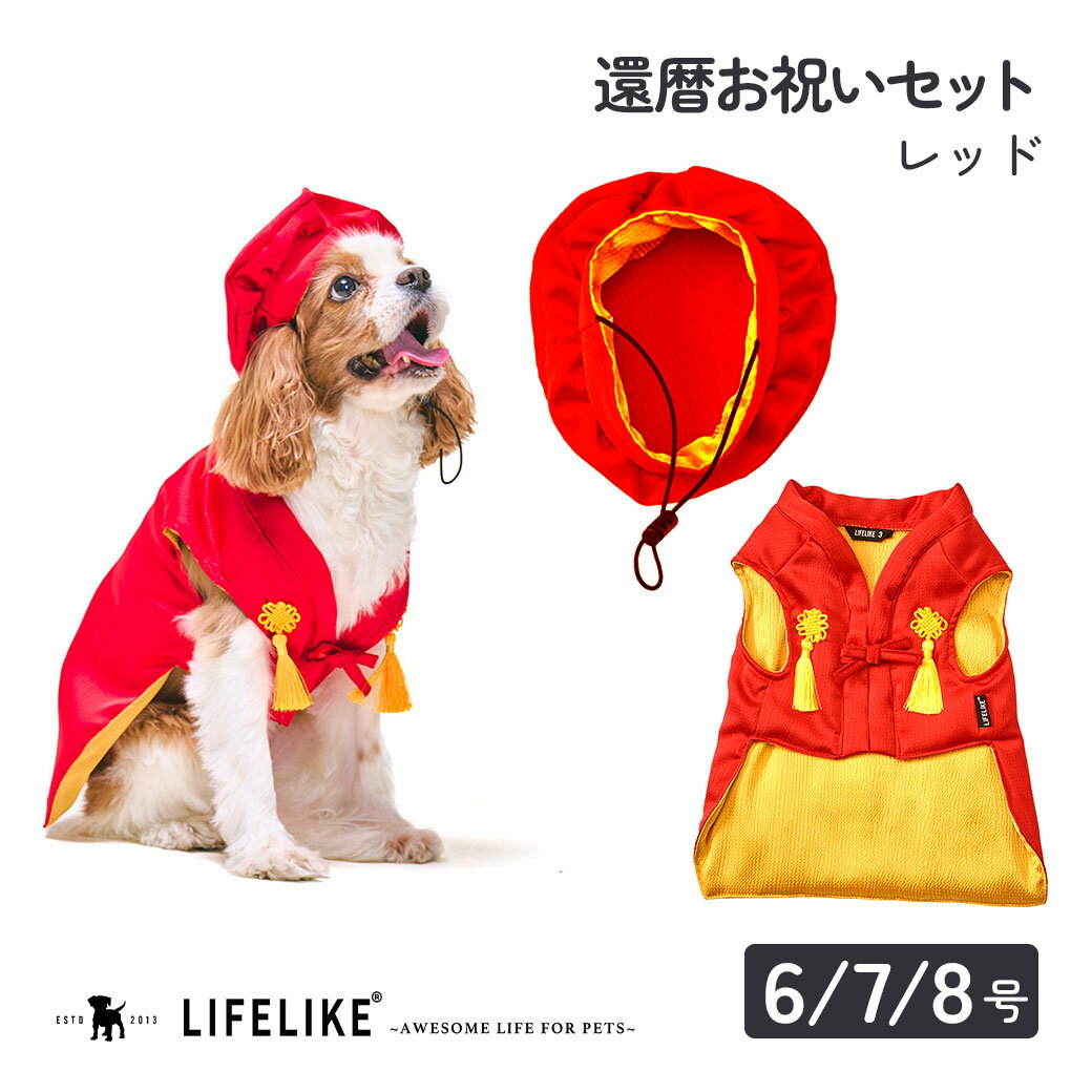 アウトレット 在庫一掃 ライフライク LIFE LIKE 還暦お祝いセット レッド 6号～8号