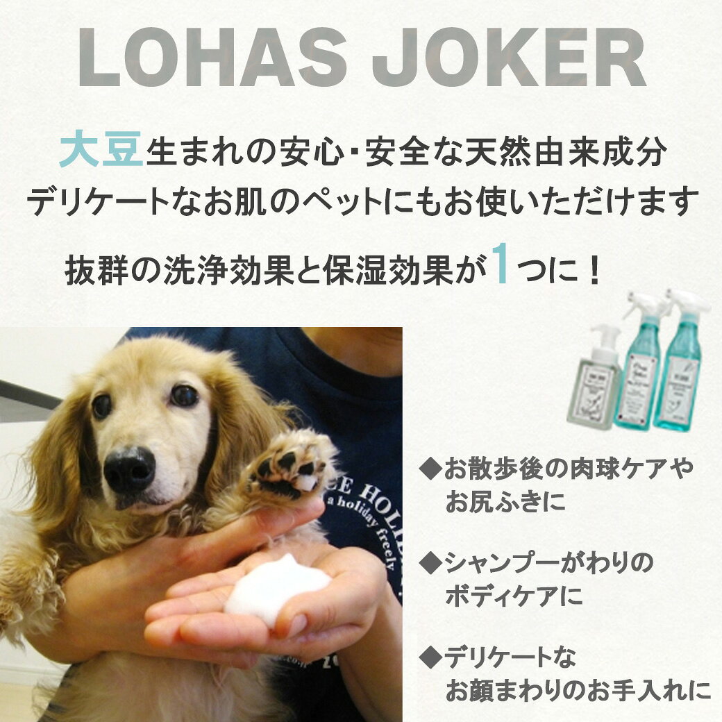 サンプル画像3