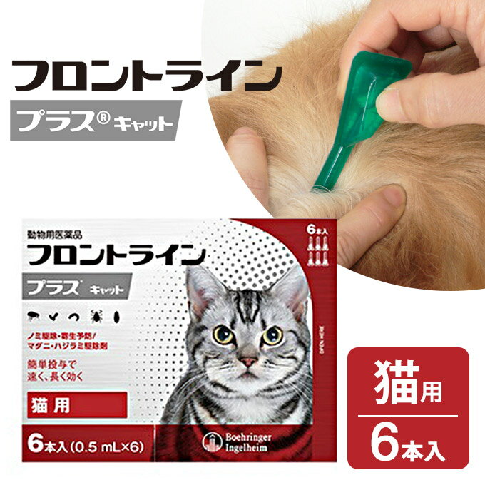 フロントラインプラス 猫用 6P 【動物用医薬品】【ノミ・ダニ・シラミ駆除】【送料無料】 同梱不可