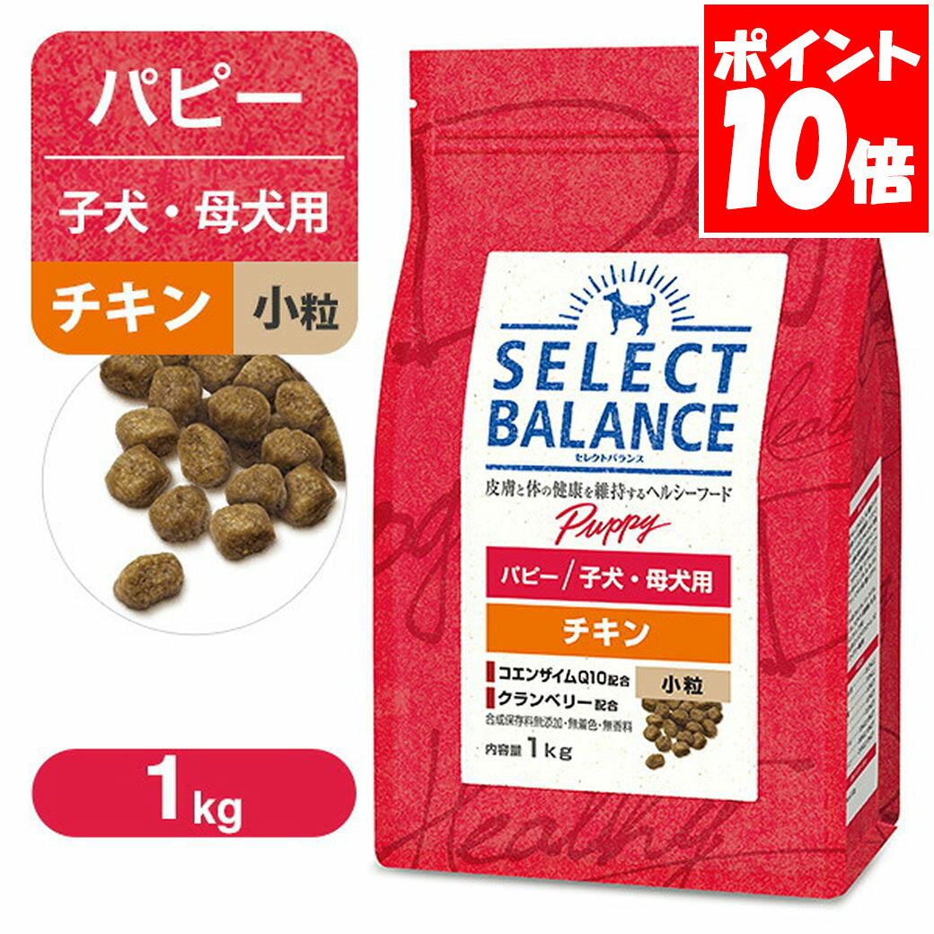 ���쥯�ȥХ�� �ѥԡ� �Ҹ��� ������ ��γ 1kg